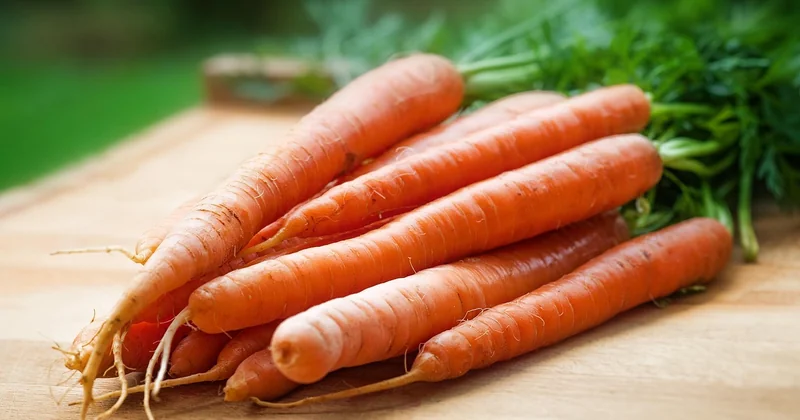 Les trois produits que je garde toujours sous mon évier
