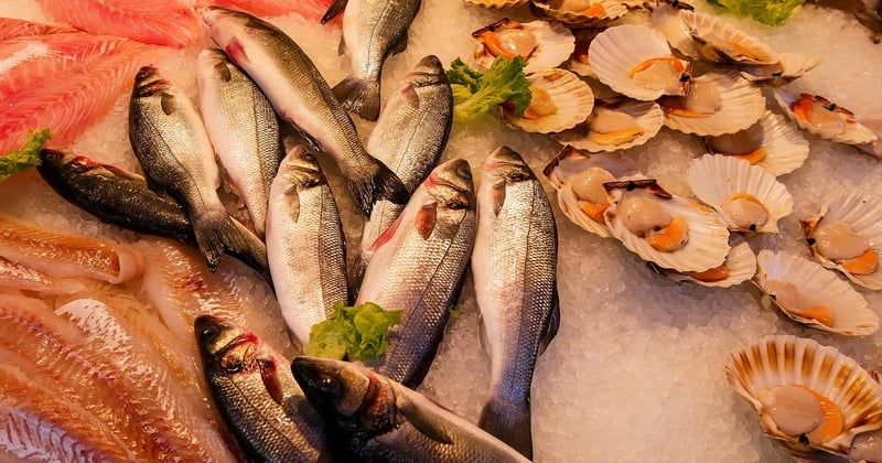 Prix du poisson en forte hausse : ce qui change vraiment dans votre assiette